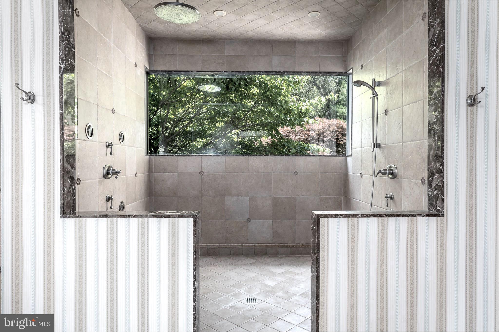 6101 Joshua Road Fort Washington, PA 19034 - Photo 18 of 39 Spectacular Spa Shower