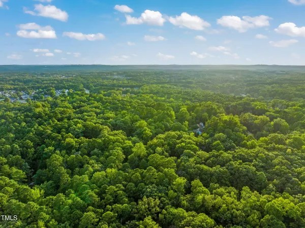 an aerial view of residential houses with outdoor space and trees