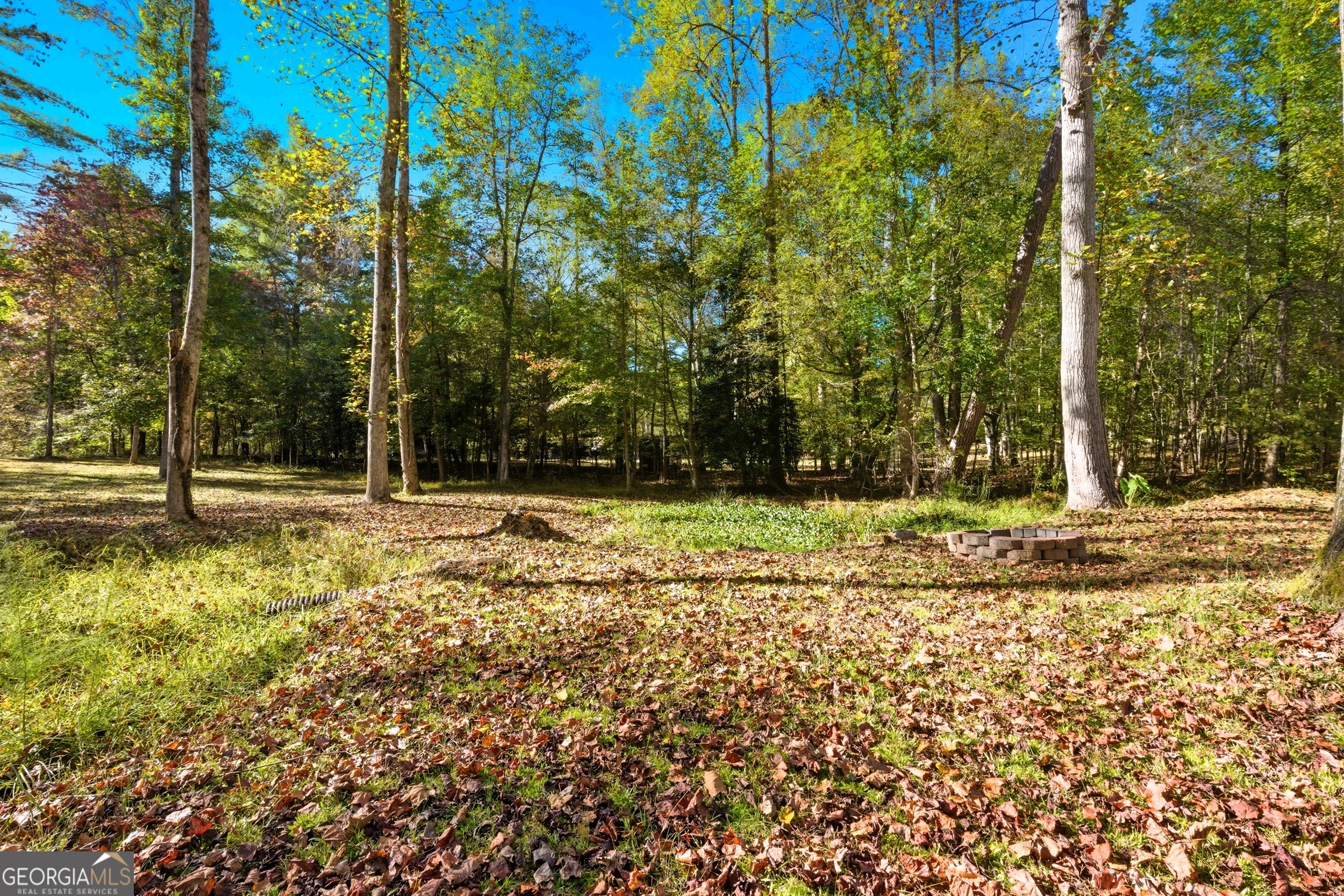 478 Chattahoochee Glen Road Clarkesville, GA 30523 - Photo 45 of 58 a view of outdoor space with trees
