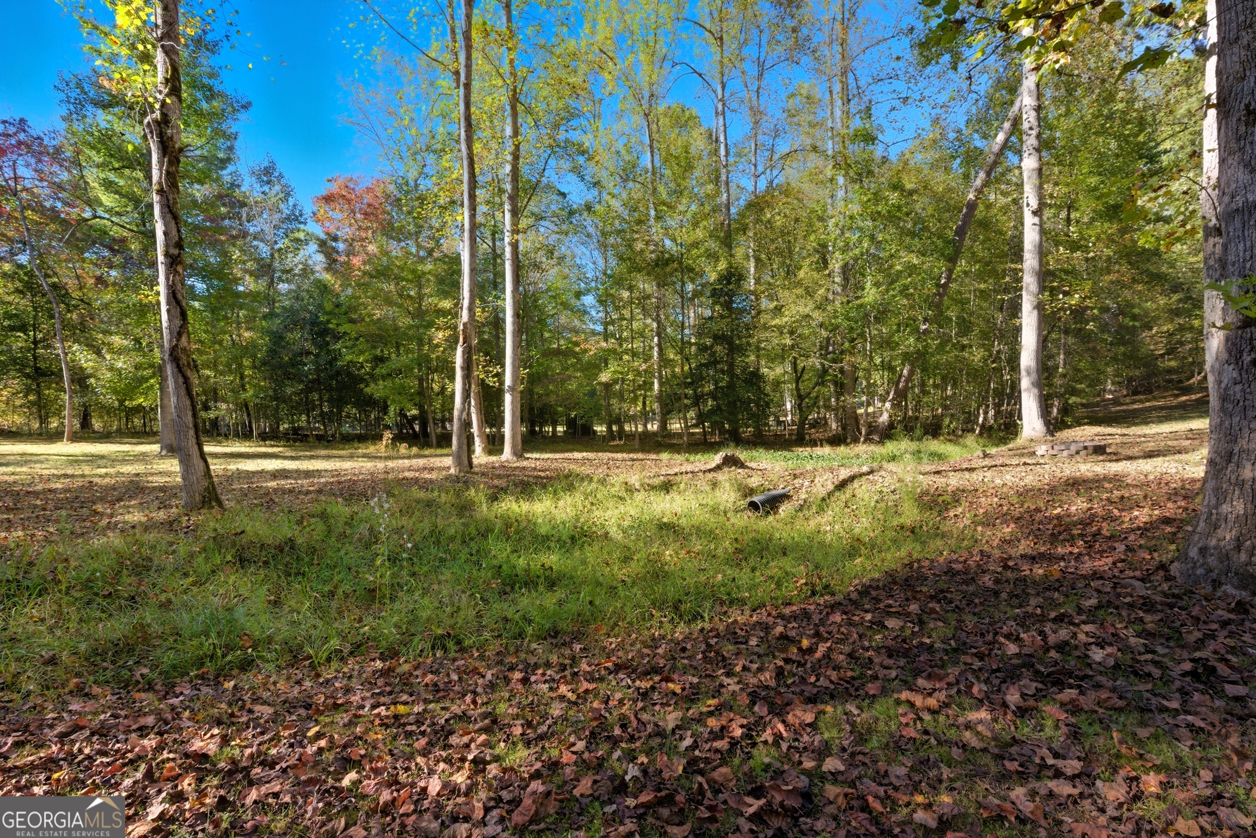 478 Chattahoochee Glen Road Clarkesville, GA 30523 - Photo 46 of 58 a view of outdoor space with trees
