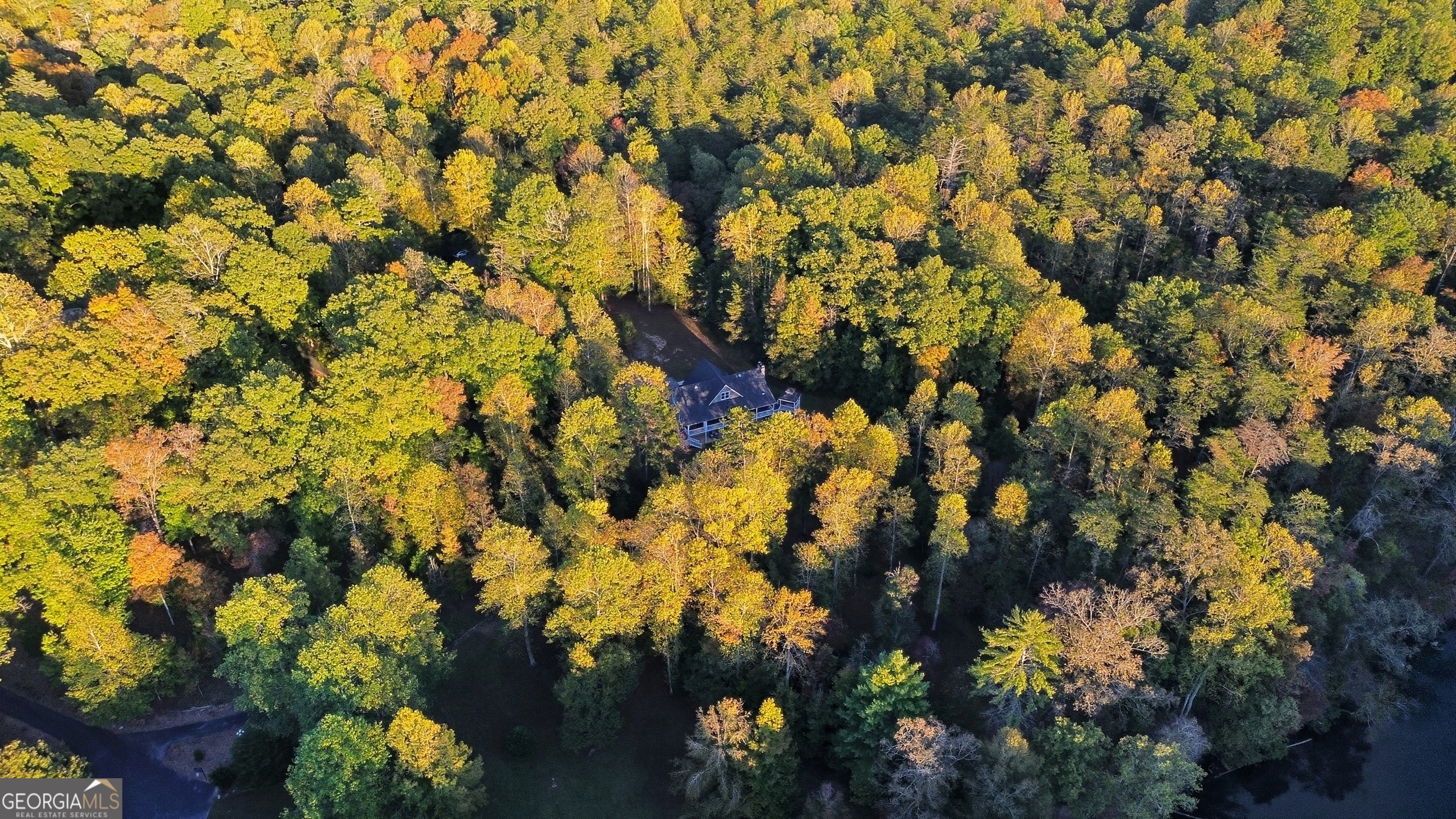478 Chattahoochee Glen Road Clarkesville, GA 30523 - Photo 51 of 58 a view of a tree
