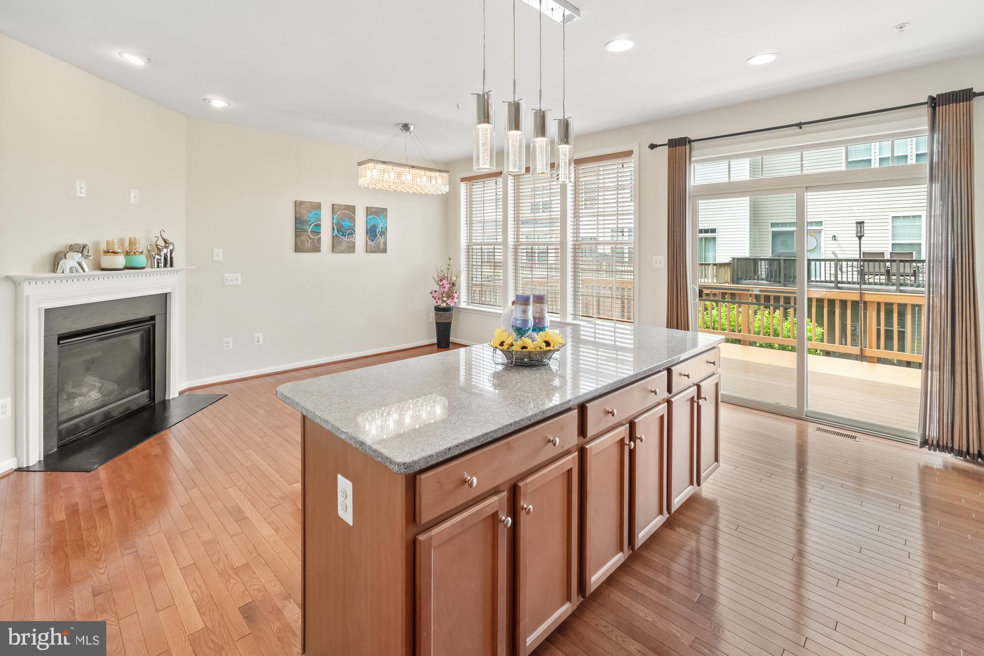 4735 Verdana Loop Frederick, MD 21703 - Photo 4 of 41