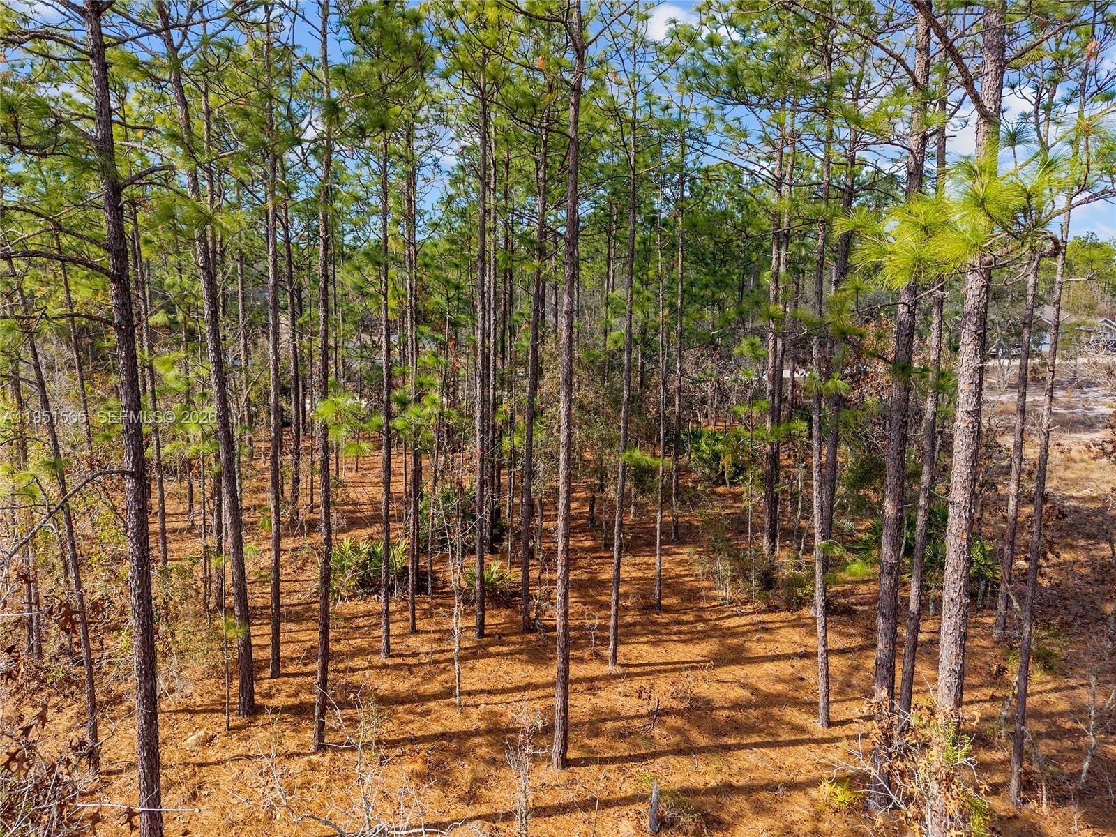 Tbd Southwest 128th Ter Road Ocala, FL 34481 - Photo 11 of 29