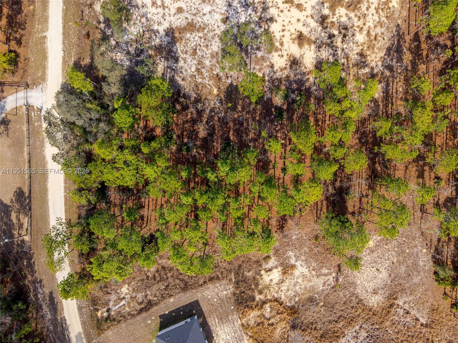 Tbd Southwest 128th Ter Road Ocala, FL 34481 - Photo 12 of 29