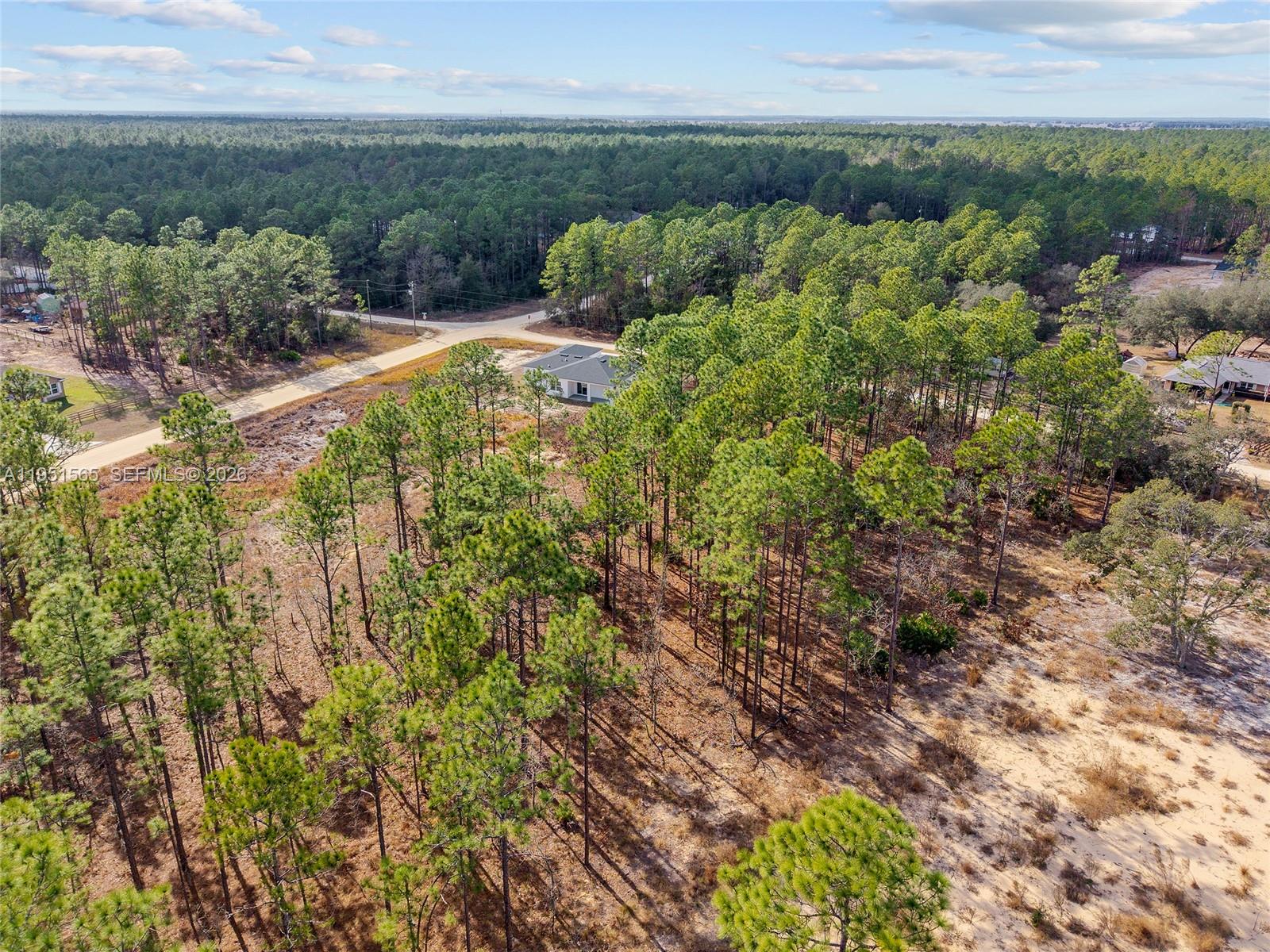 Tbd Southwest 128th Ter Road Ocala, FL 34481 - Photo 14 of 29