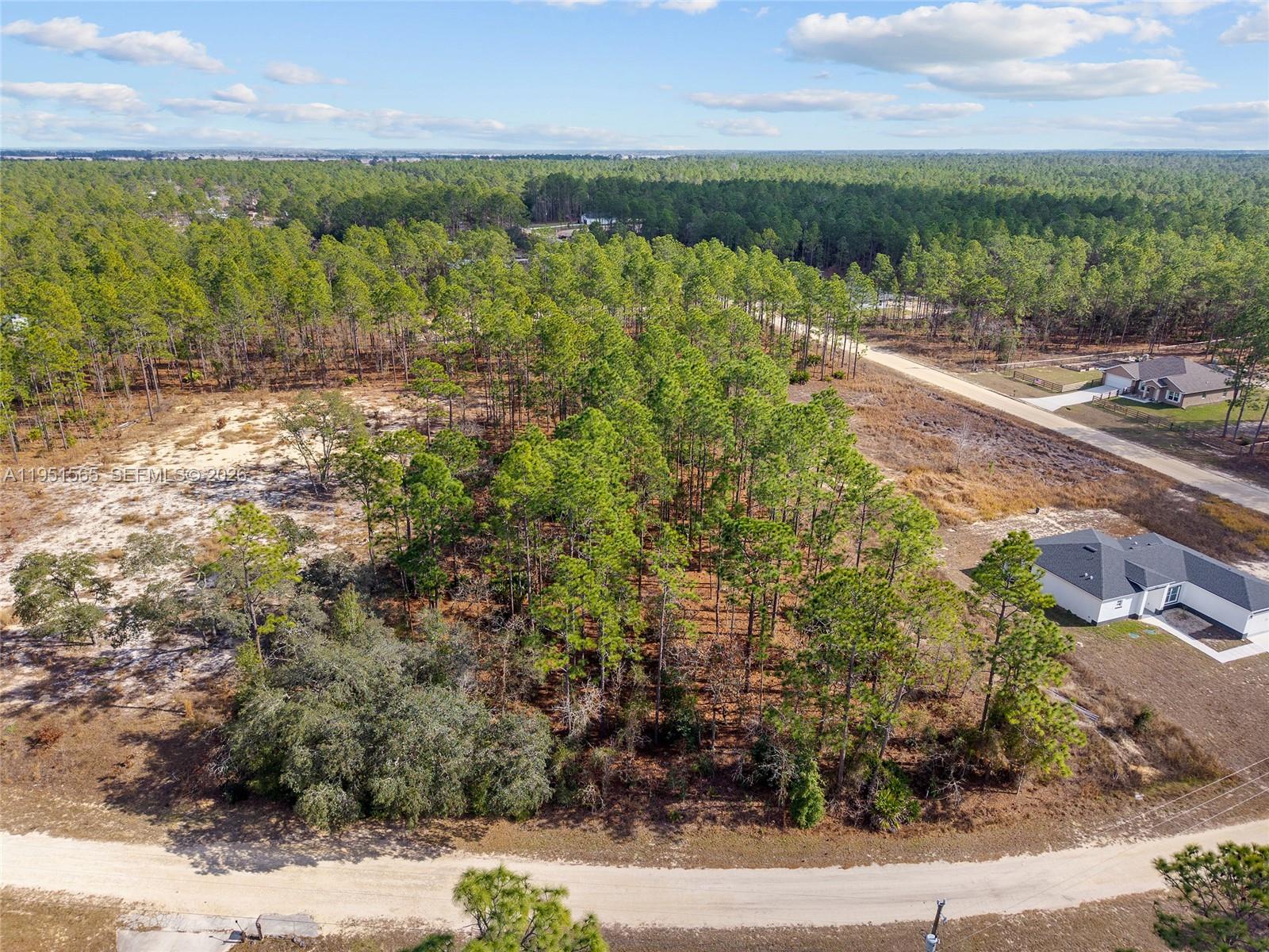 Tbd Southwest 128th Ter Road Ocala, FL 34481 - Photo 18 of 29