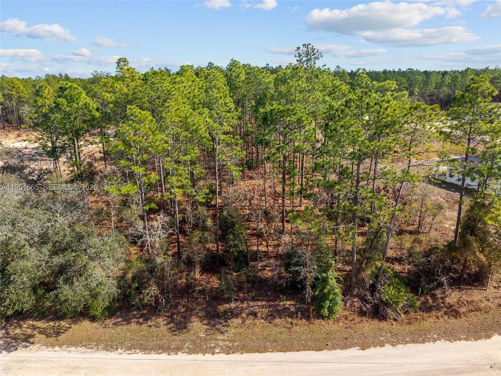 Tbd Southwest 128th Ter Road Ocala, FL 34481 - Photo 21 of 29