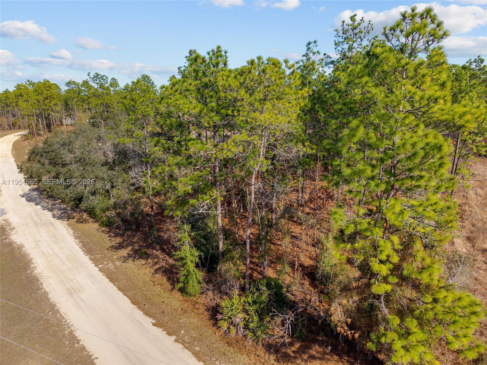 Tbd Southwest 128th Ter Road Ocala, FL 34481 - Photo 22 of 29