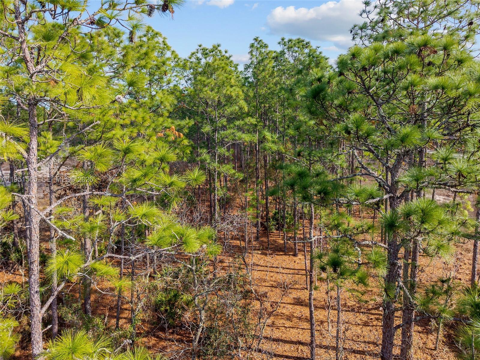 Tbd Southwest 128th Ter Road Ocala, FL 34481 - Photo 23 of 29