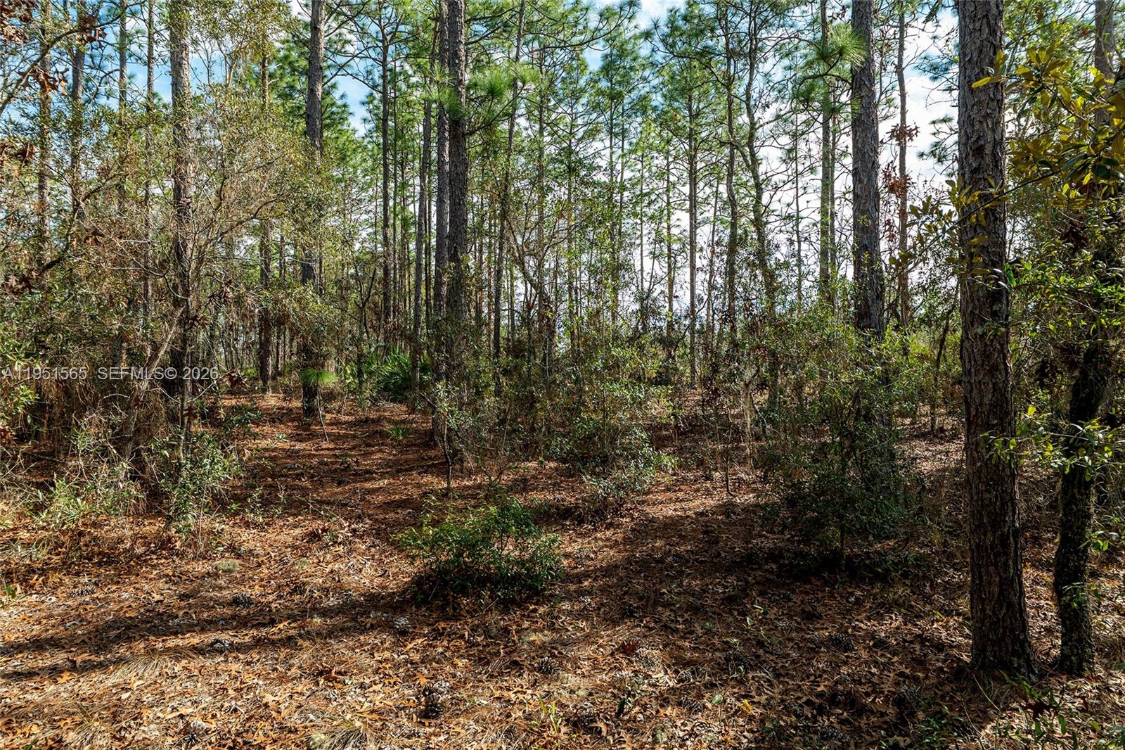 Tbd Southwest 128th Ter Road Ocala, FL 34481 - Photo 27 of 29