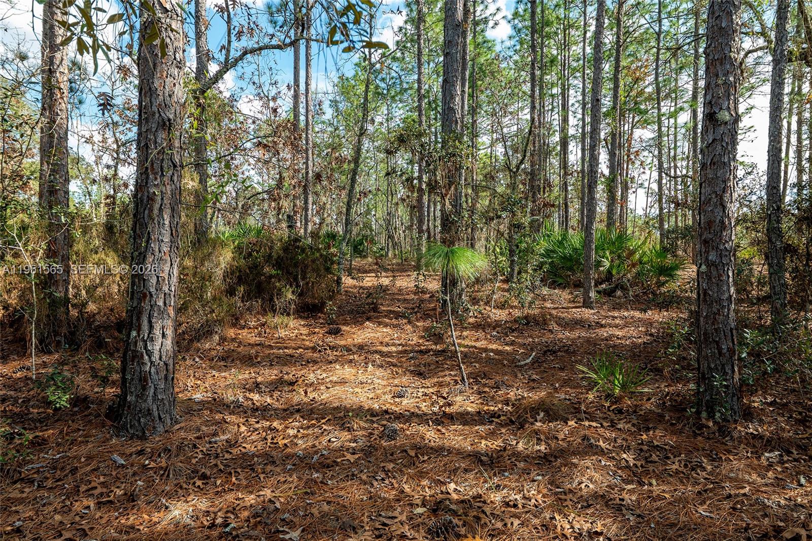 Tbd Southwest 128th Ter Road Ocala, FL 34481 - Photo 28 of 29