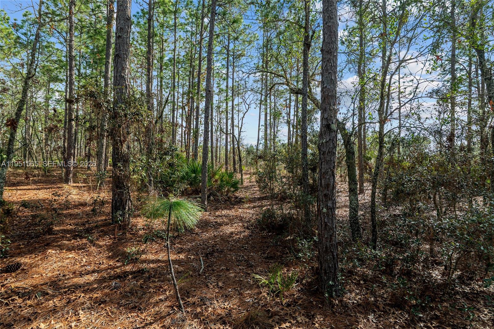 Tbd Southwest 128th Ter Road Ocala, FL 34481 - Photo 29 of 29