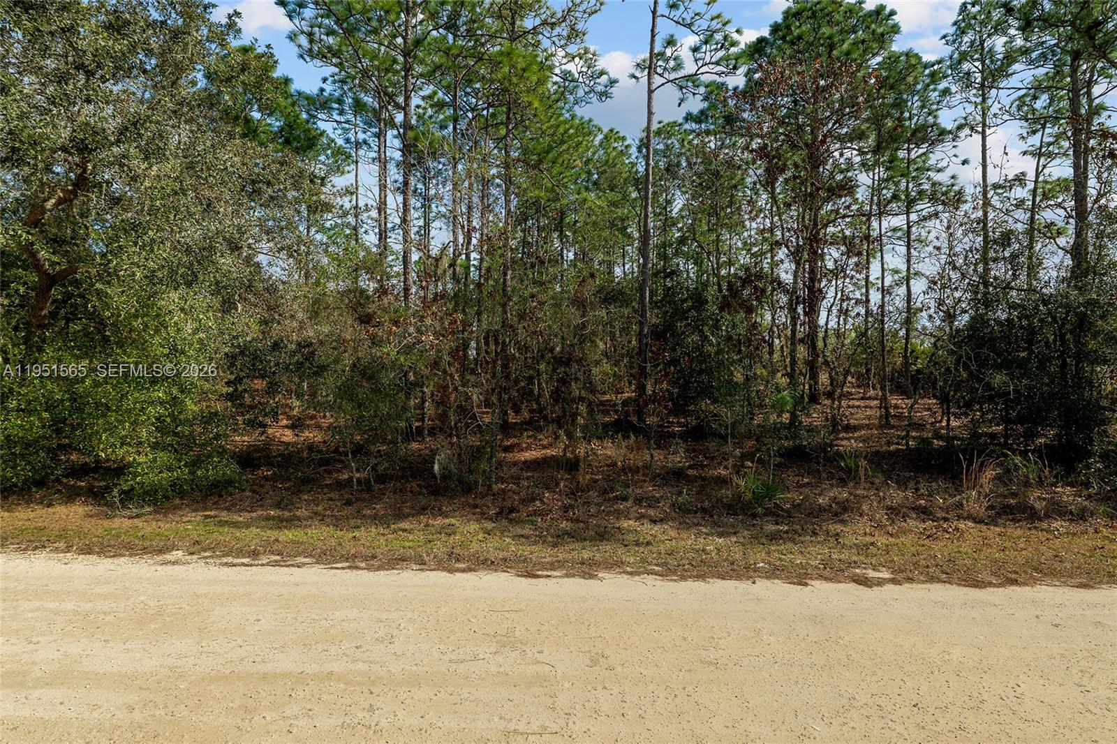 Tbd Southwest 128th Ter Road Ocala, FL 34481 - Photo 4 of 29
