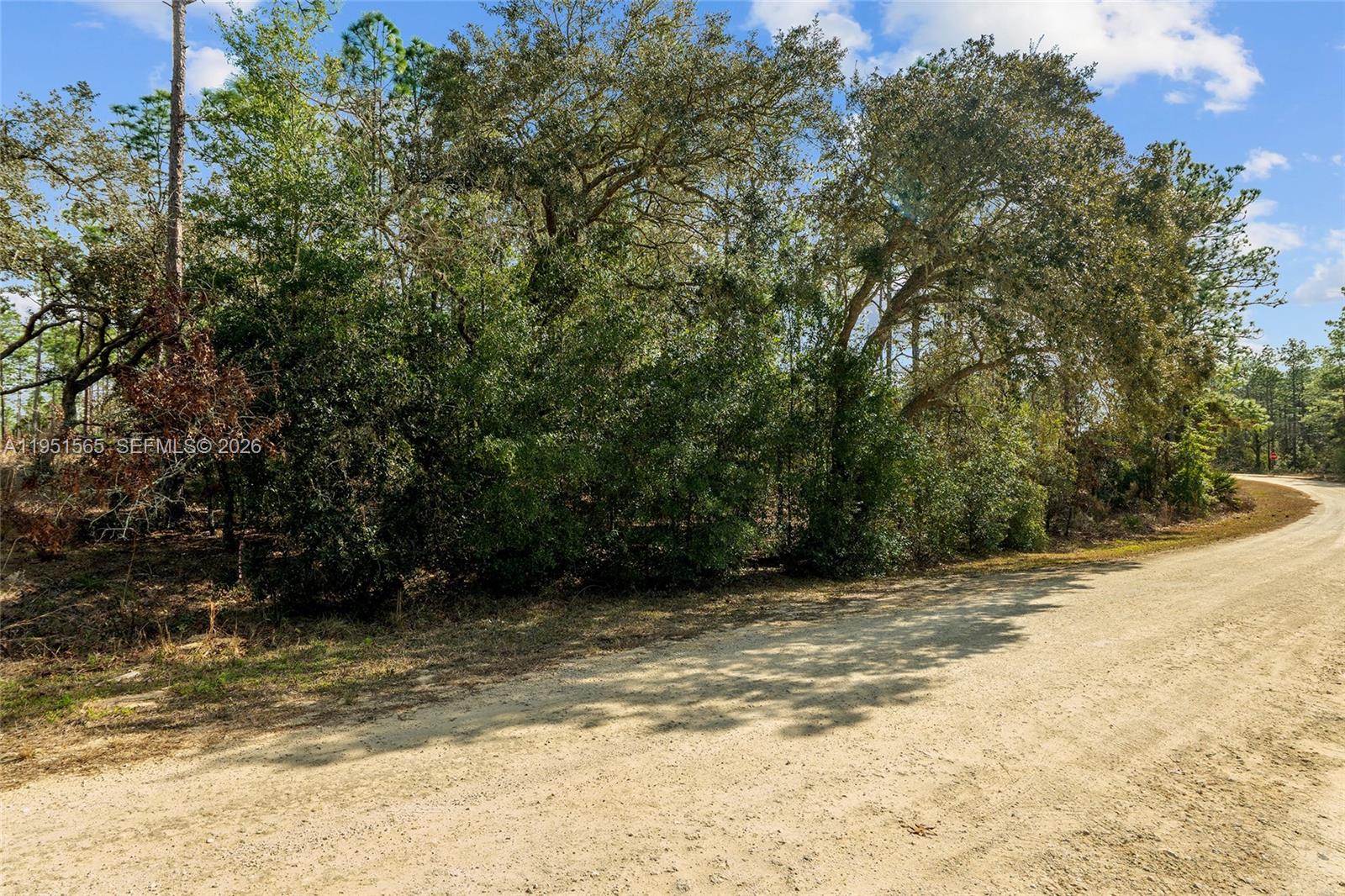 Tbd Southwest 128th Ter Road Ocala, FL 34481 - Photo 5 of 29
