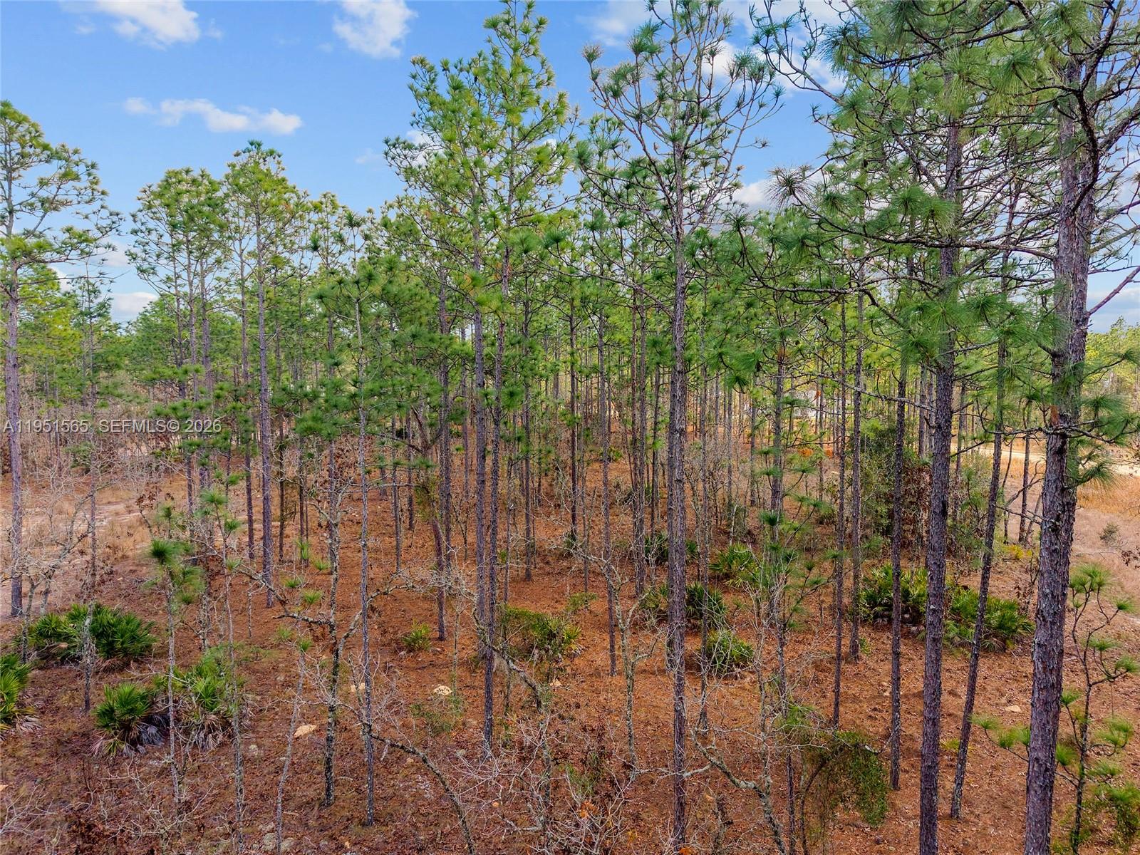 Tbd Southwest 128th Ter Road Ocala, FL 34481 - Photo 9 of 29