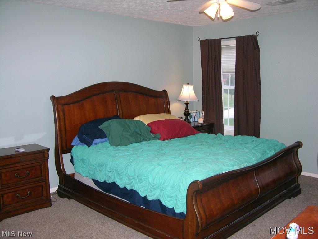 23 Low Meadow Road St. Marys, WV 26170 - Photo 9 of 19 Master Bedroom