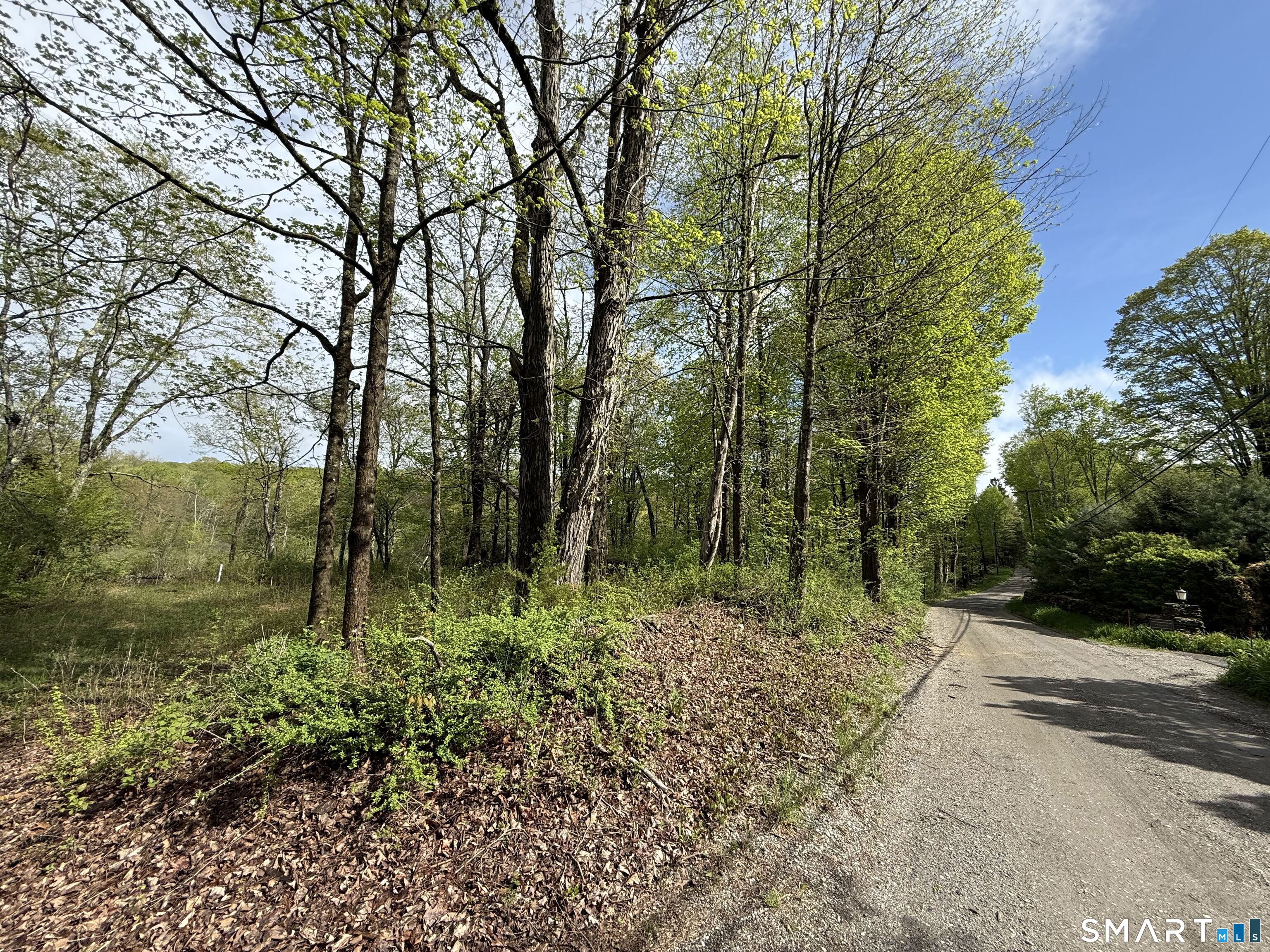 44 Keeler Road Sharon, CT 06069 - Photo 24 of 26 a big yard with lots of green space and trees