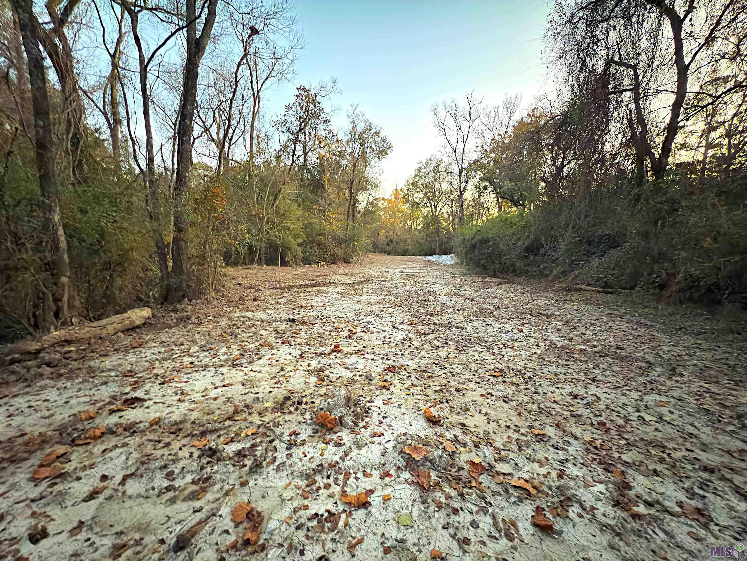 9684 Hooper Road Baton Rouge, LA 70818 - Photo 4 of 9