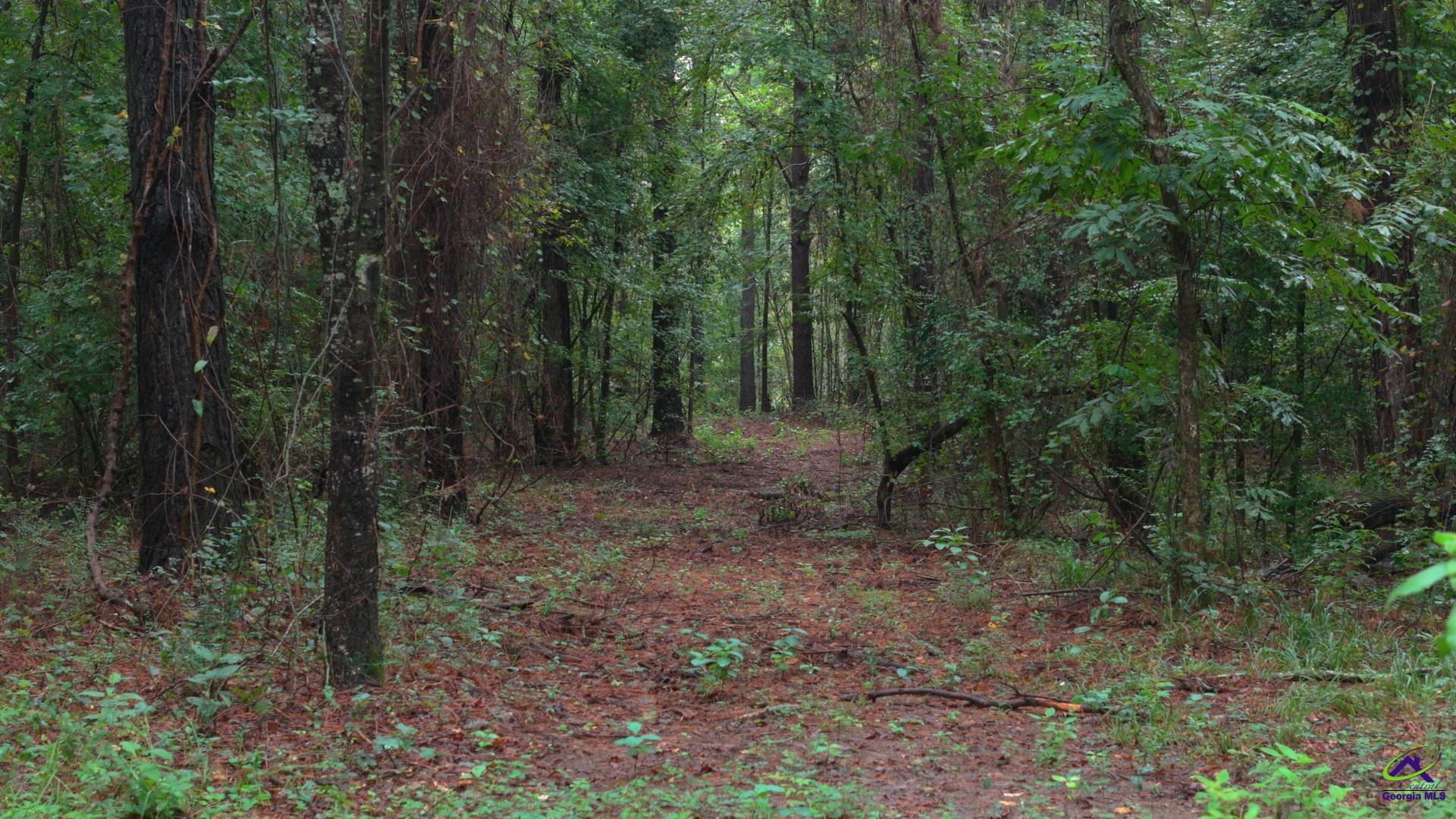 Grovania Road Elko, GA 31025 - Photo 18 of 23