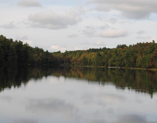 12 Fox Run Liberty, ME 04949 - Photo 15 of 15 View. Beautiful time to bring out...