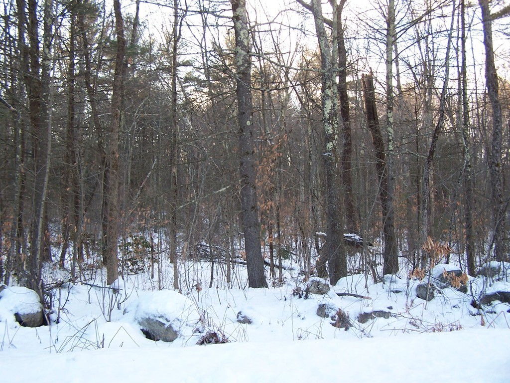 Lot 18 Sentinel Elm Road Orange, MA 01364 - Photo 3 of 4 a view of covered with snow in the background
