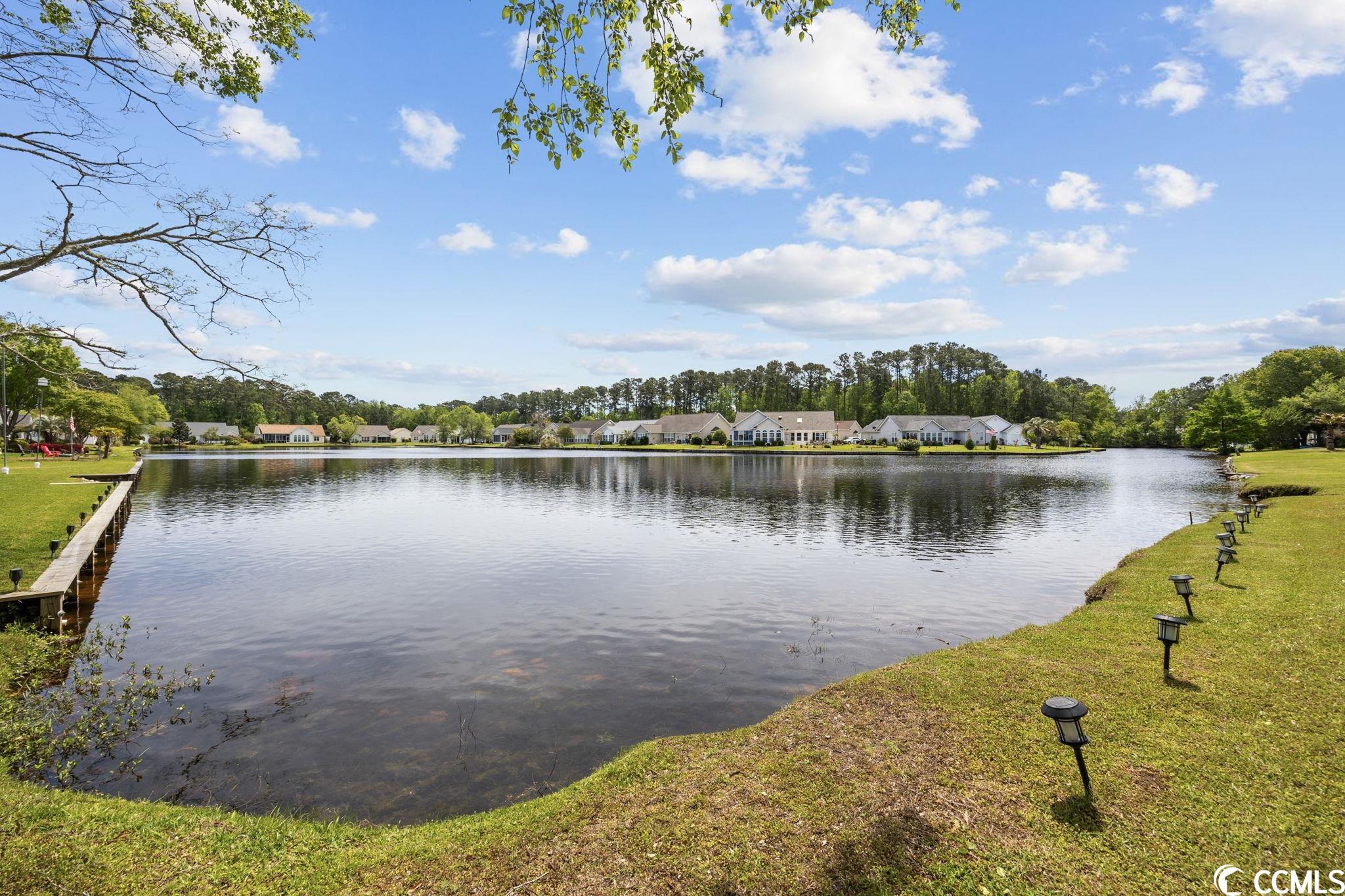 301 Chastain Court Murrells Inlet, SC 29576 - Photo 31 of 40