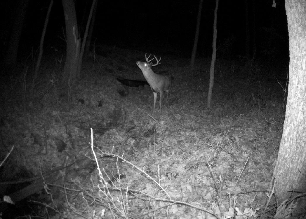 Tbd East Burns Valley Road Winona, MN 55987 - Photo 16 of 82