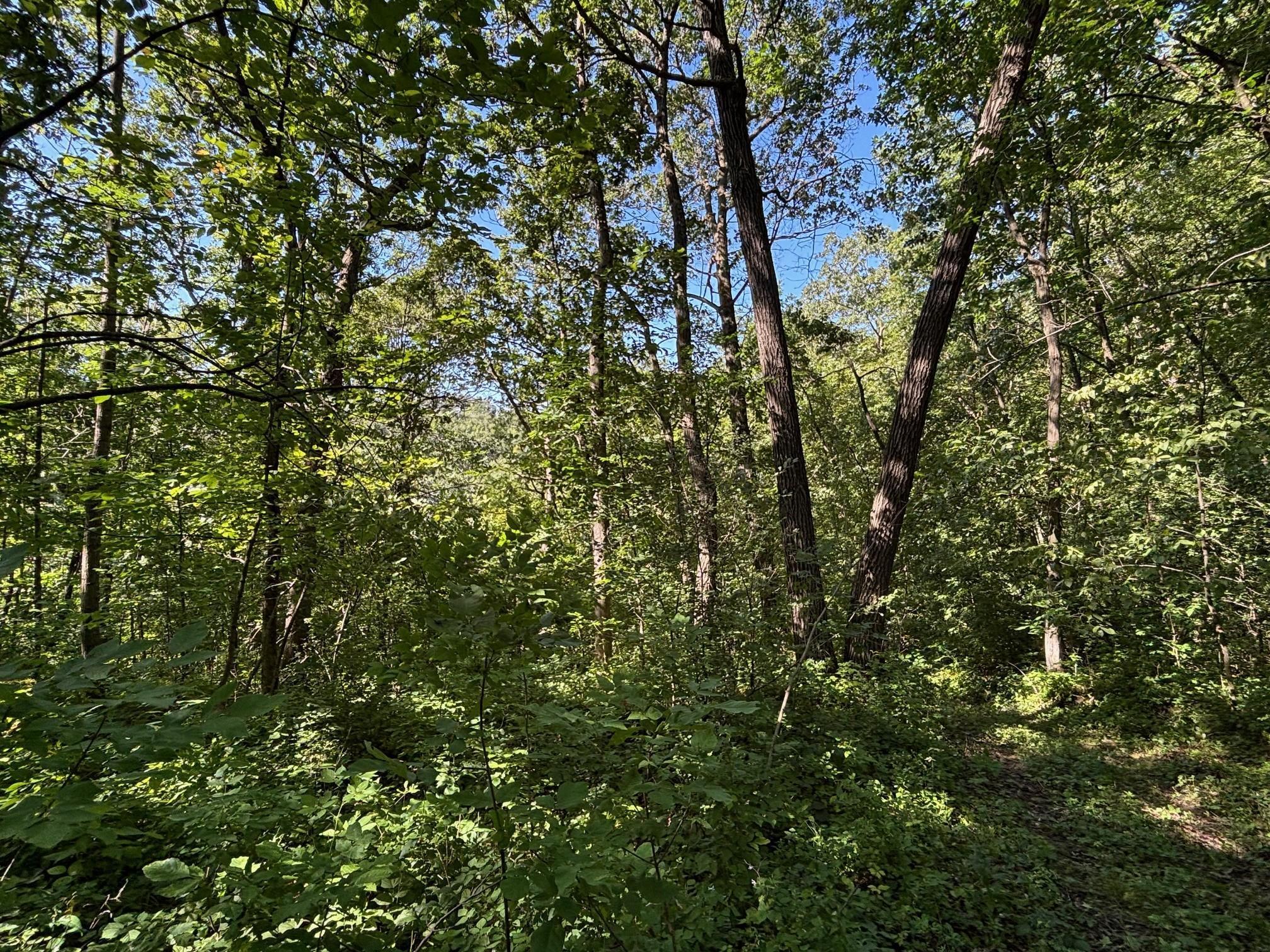 Tbd East Burns Valley Road Winona, MN 55987 - Photo 17 of 82