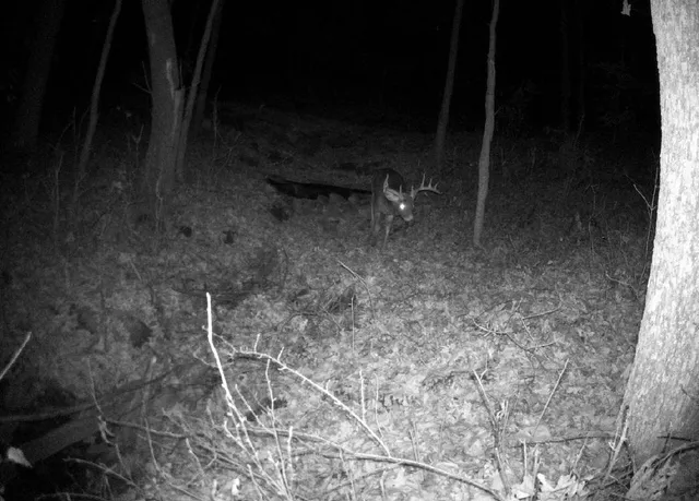 $184,000 | Tbd East Burns Valley Road, Winona, MN 55987