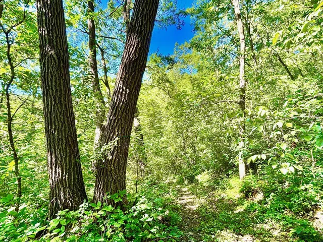 $184,000 | Tbd East Burns Valley Road, Winona, MN 55987