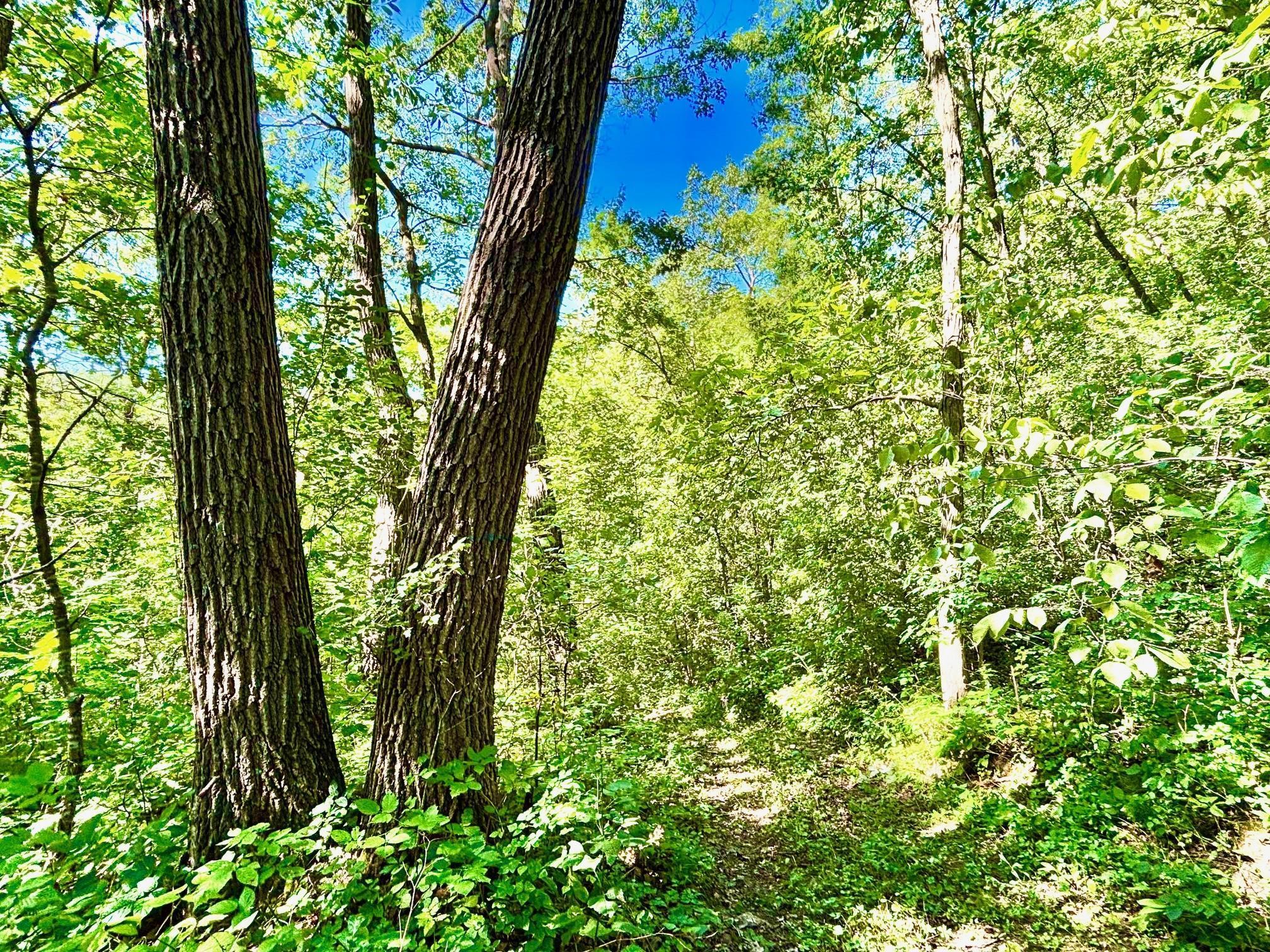 Tbd East Burns Valley Road Winona, MN 55987 - Photo 22 of 82