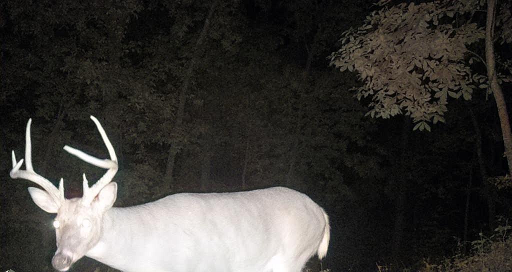 Tbd East Burns Valley Road Winona, MN 55987 - Photo 27 of 82