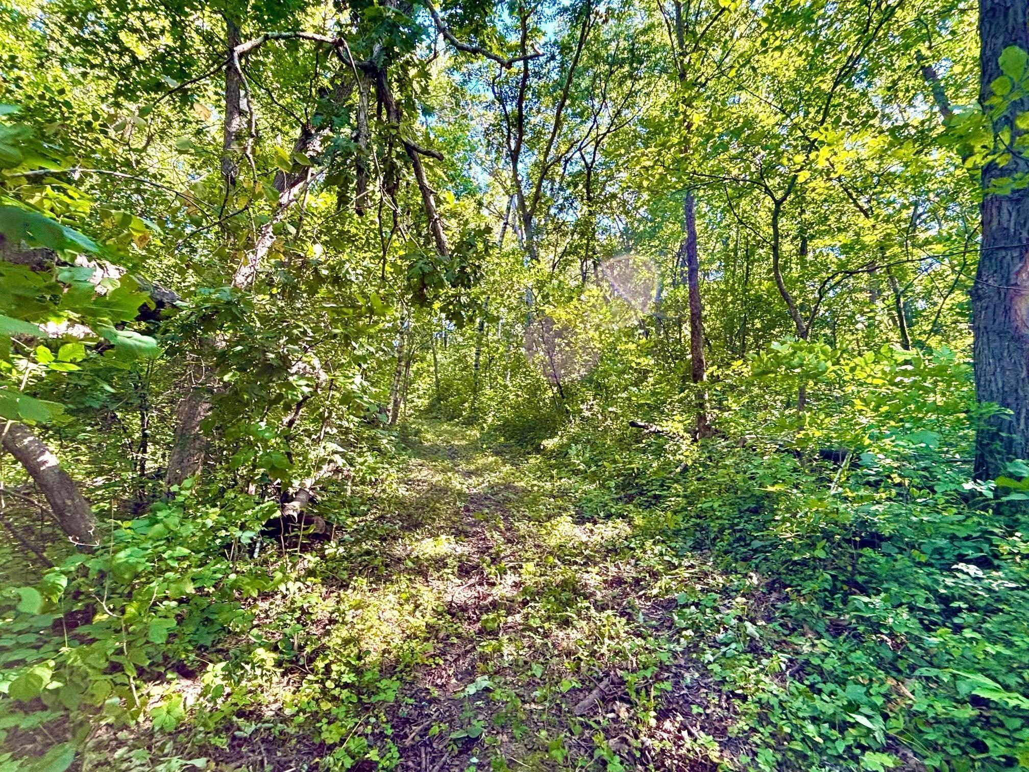 Tbd East Burns Valley Road Winona, MN 55987 - Photo 28 of 82