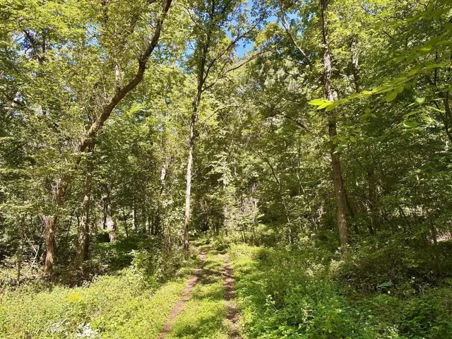 $184,000 | Tbd East Burns Valley Road, Winona, MN 55987
