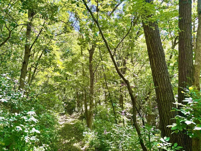 $184,000 | Tbd East Burns Valley Road, Winona, MN 55987