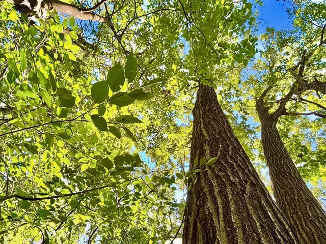 $184,000 | Tbd East Burns Valley Road, Winona, MN 55987