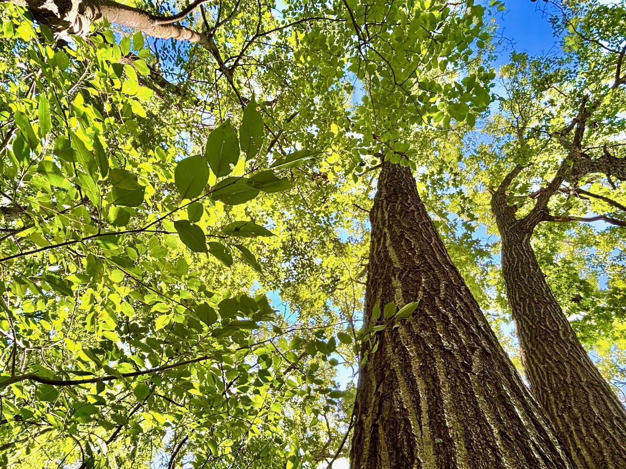 Tbd East Burns Valley Road Winona, MN 55987 - Photo 34 of 82