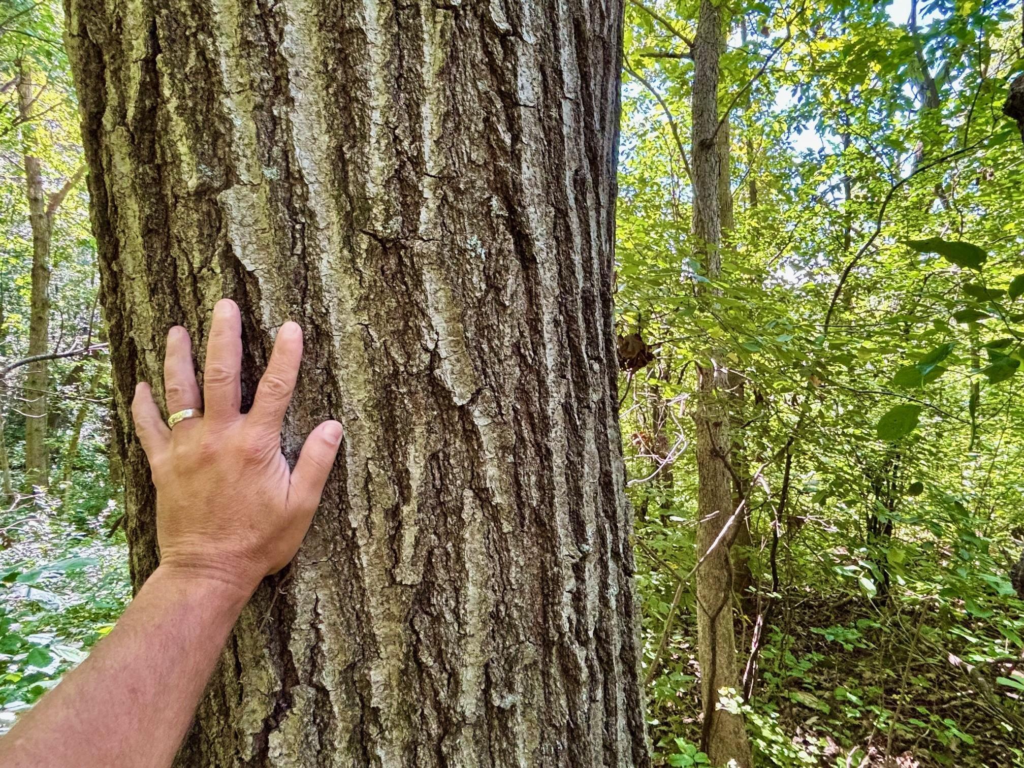 Tbd East Burns Valley Road Winona, MN 55987 - Photo 35 of 82