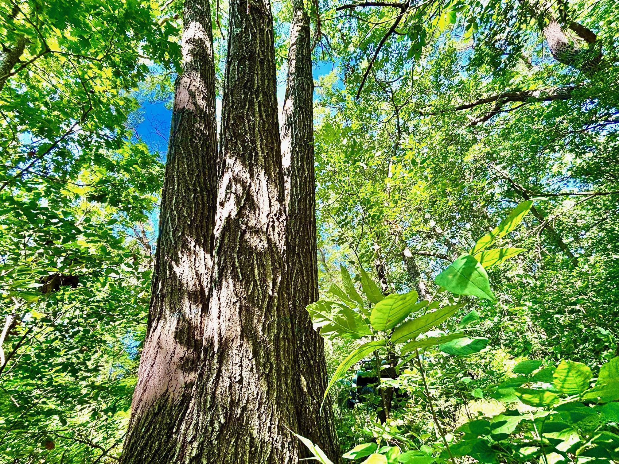 Tbd East Burns Valley Road Winona, MN 55987 - Photo 39 of 82