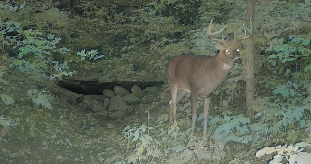 Tbd East Burns Valley Road Winona, MN 55987 - Photo 4 of 82