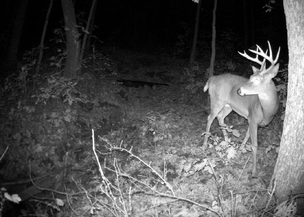 Tbd East Burns Valley Road Winona, MN 55987 - Photo 41 of 82