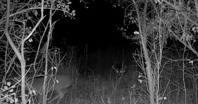 $184,000 | Tbd East Burns Valley Road, Winona, MN 55987