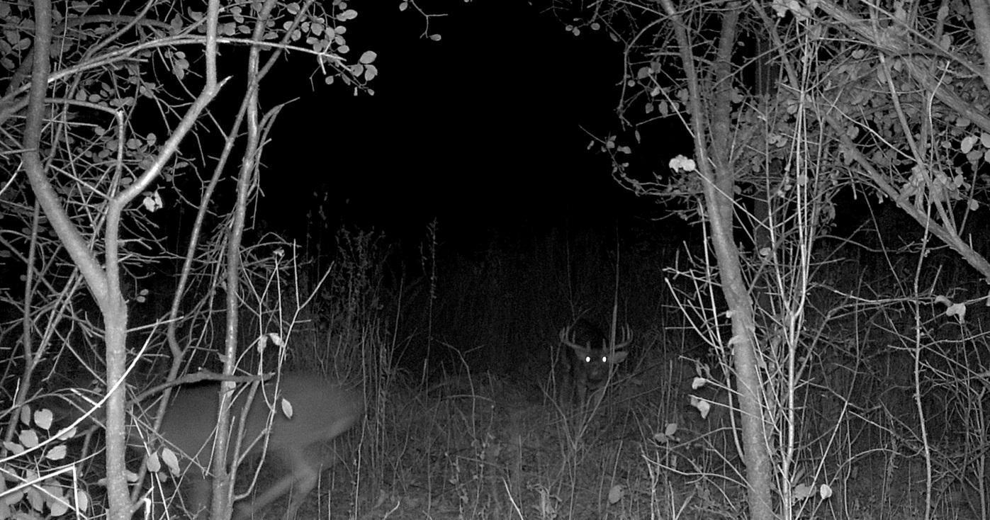 Tbd East Burns Valley Road Winona, MN 55987 - Photo 43 of 82