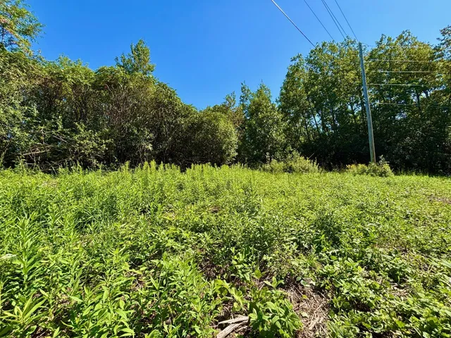 $184,000 | Tbd East Burns Valley Road, Winona, MN 55987