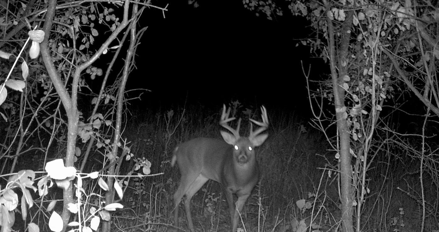 Tbd East Burns Valley Road Winona, MN 55987 - Photo 46 of 82