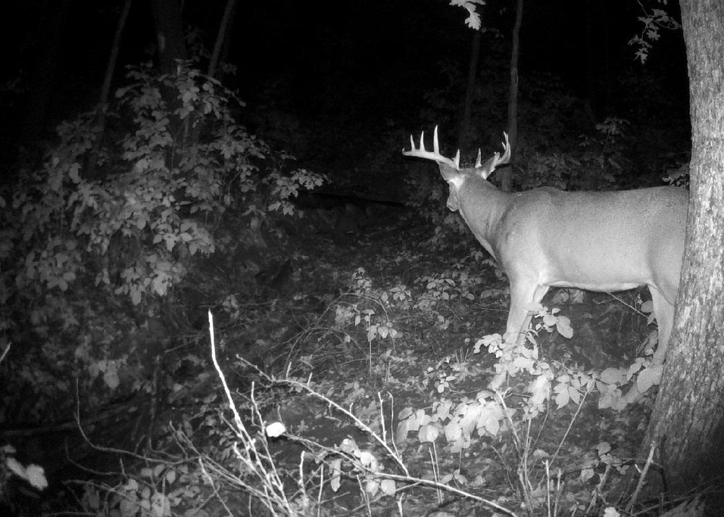 Tbd East Burns Valley Road Winona, MN 55987 - Photo 50 of 82