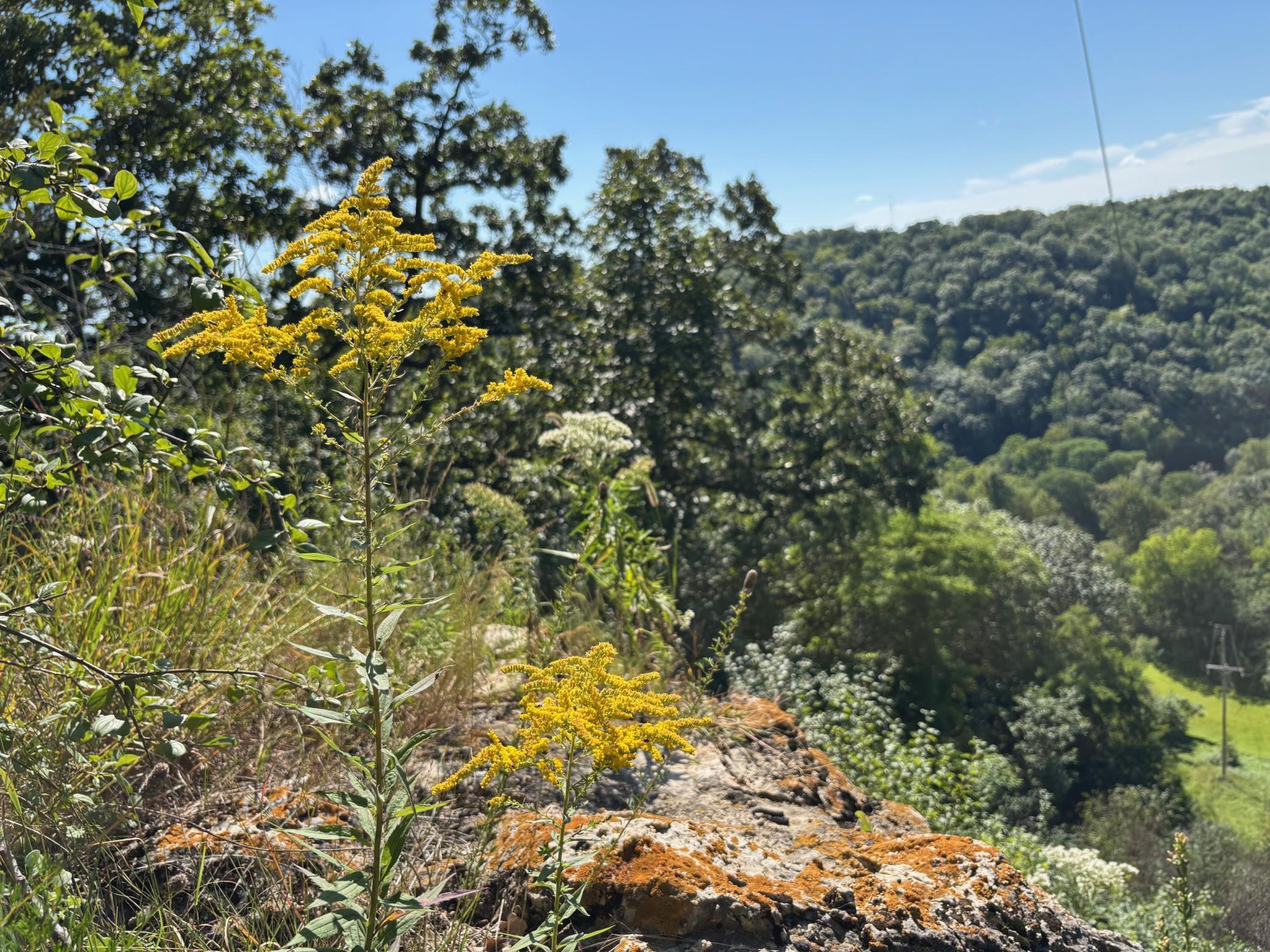 Tbd East Burns Valley Road Winona, MN 55987 - Photo 5 of 82