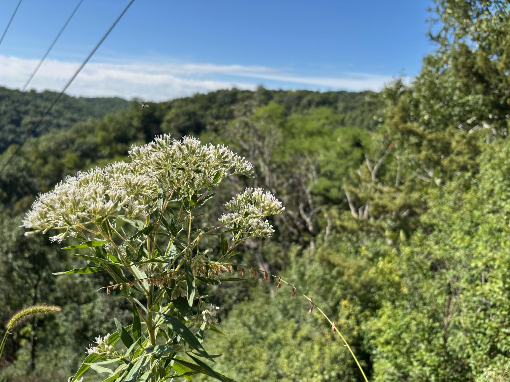 Tbd East Burns Valley Road Winona, MN 55987 - Photo 51 of 82