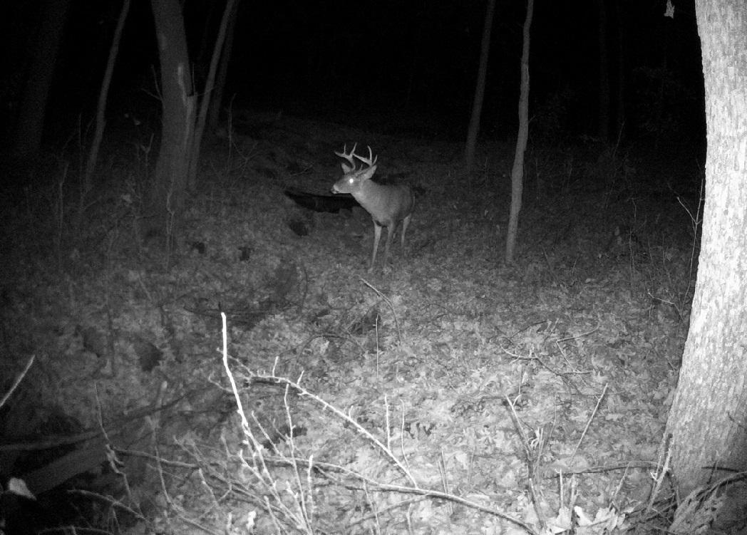 Tbd East Burns Valley Road Winona, MN 55987 - Photo 54 of 82