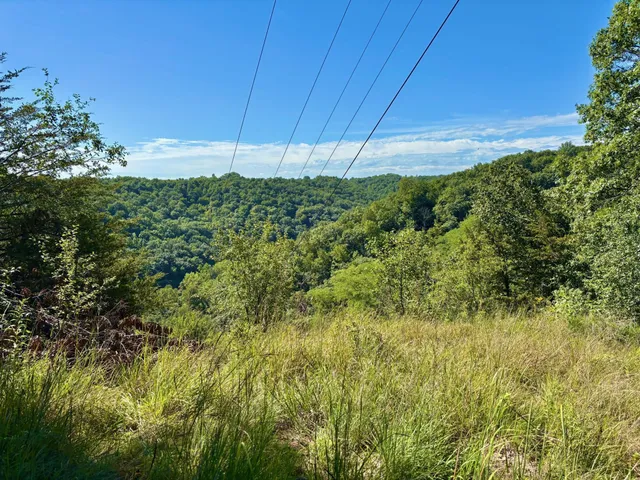 $184,000 | Tbd East Burns Valley Road, Winona, MN 55987